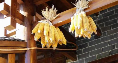 其他 2 Jian Shan Ke Zhan