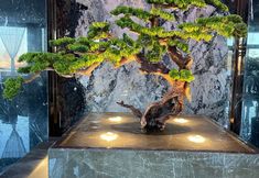 Lain-lain 4 Hubin All Seasons Hotel