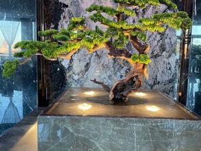 Lain-lain 4 Hubin All Seasons Hotel