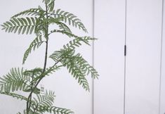 其他 7 Huawenwan Hotel (Baima Temple Scenic Area)