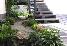 Others 7 Xiaotinghua