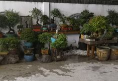 Others 6 Shanghai Dream Hotel