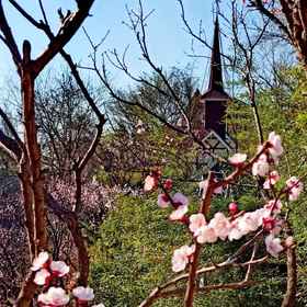 Hotel Exterior 1 Beijing Tianyu Villa Resort Hotel (Fangshan Scenic Area), Peking Man Site at Zhoukoudian Hotels