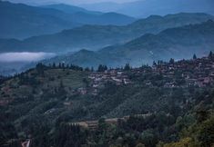 其他 4 Basha Original Luxury Resort