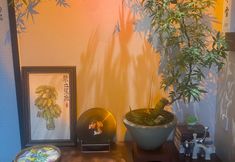 Others 7 Huaniansu Homestay (Wansui Mountain Song Dynasty Martial Arts City)