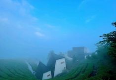 Others 6 Longxingchong TeaTel Hostel