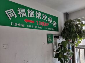 Others 4 Tongfu Inn (Hefei Binhu ZWECC)