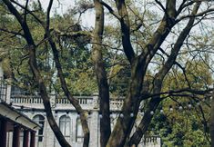 Others 5 Chongqing Nanshan 1898 Homestay