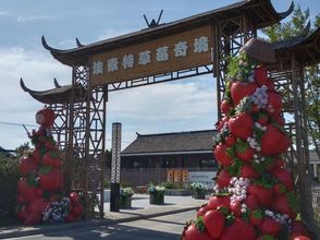 Others Aisuote Caomei Qijing Homestay