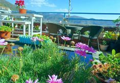 Others 4 man xin yuan