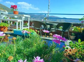 Others 4 man xin yuan