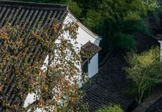 Khác 3 Savoir Resort