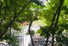 Others 6 Floral Hotel · Banyan Bower Yard Hotel (R&F Ocean Culture City Store)