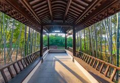 기타 7 Shaoxing Shanju