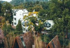 Others 5 Tree Frog Resort Hotel