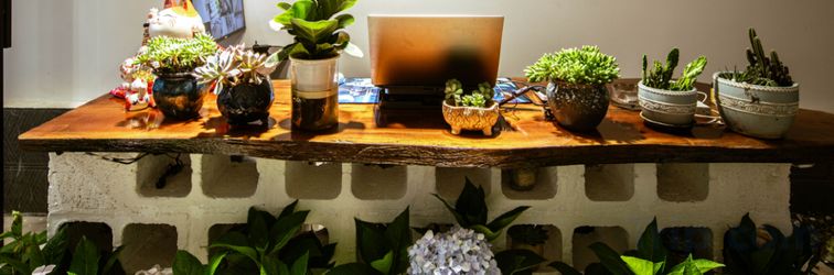 Others Dali Shuanglang Alley Trvae Scenic Resort Hotel (Erhai Lake)