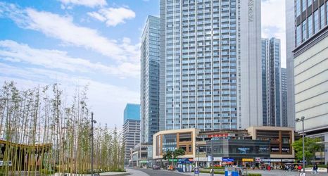 其他 2 Youth Sunshine Hotel (Chengdu Chadianzi Subway Station Longhu Xichen Tianjie Branch)