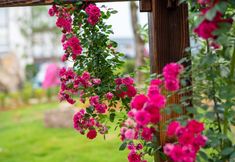 Khác 7 Qingxiang Manchu Guesthouse