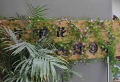 Others 2 Banchenghua Homestay · (West Street Kaiyuan Temple)