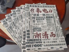 其他 4 WWR hostel & cafe (old town branch)