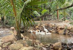 その他 7 Mufeng Mei'an Luxury Camp