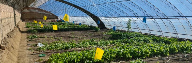 Lainnya Hanshe Homestay