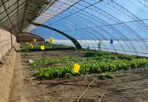 Lainnya Hanshe Homestay