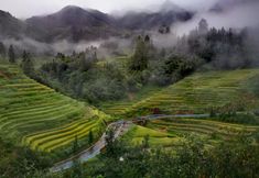 Others 4 Jiabang Yunshang Terrace View Hotel