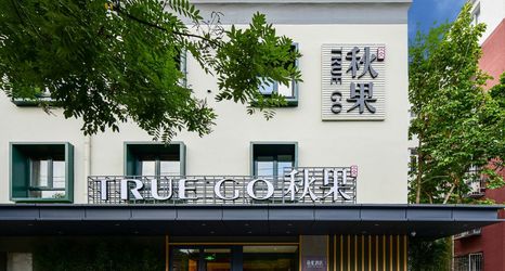 기타 2 TRUE GO (Beijing Anzhen Hospital store)