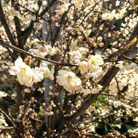 Others 1 Junqi Hotel, Jinsha Xian Hotels