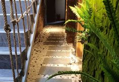 Others 5 Qianxun Mountain Su, Qianhu Miao Village, Xijiang