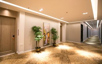 Others 4 Vienna Hotel (Jinan South Park Street Hongxing Meikailong)