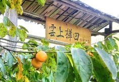 Others 6 Jiabang Yunshang Terrace View Hotel