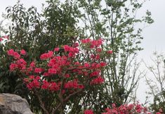 其他 4 JI Hotel (Hefei Nanzhan Luogang Zhongyang Gongyuan)