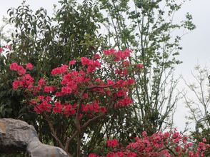 其他 4 JI Hotel (Hefei Nanzhan Luogang Zhongyang Gongyuan)