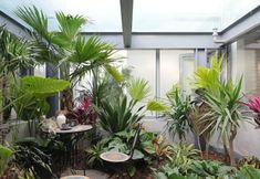 기타 3 The diary of Puli in Longqing Gorge