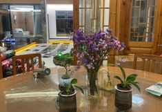 Lain-lain 7 YunYinli Homestay