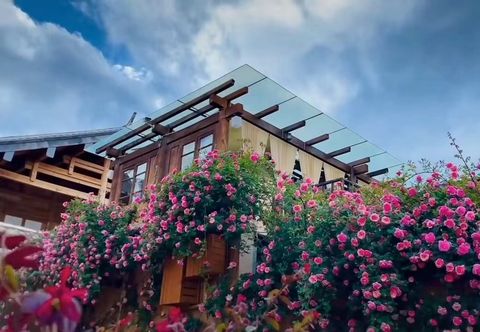 Others MISS MAY HOTEL