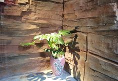 Others 4 Qianxun Mountain Su, Qianhu Miao Village, Xijiang