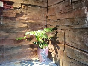 Others 4 Qianxun Mountain Su, Qianhu Miao Village, Xijiang