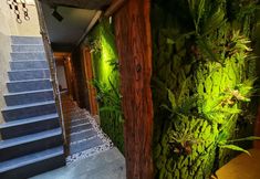 Others 3 Qianxun Mountain Su, Qianhu Miao Village, Xijiang