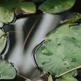 Others 1 Yuguishu Cinematography Hotel, Shuiyun Shuyuan Classic Hotel ホテル