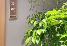 Others 7 Jingchen Dongge Hotel