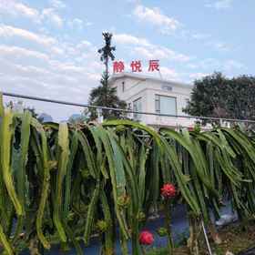Hotel Exterior 1 Jingyuechen Guesthouse, 贞丰县 酒店