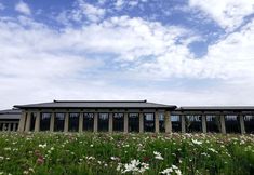 Others 3 Dunhuang International Hotel