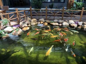 Khác 4 Chinh Hoa Homestay