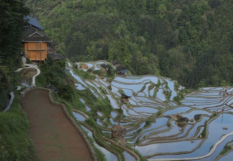 Lain-lain Yunhuan Mijing Hostel