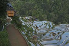 Lain-lain Yunhuan Mijing Hostel