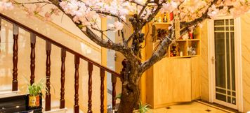 Lain-lain 3 Xingxiu Inn