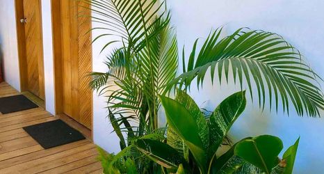 Others 2 Sanse Boutique Hotel